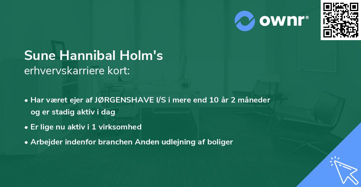 Sune Hannibal Holm's erhvervskarriere kort