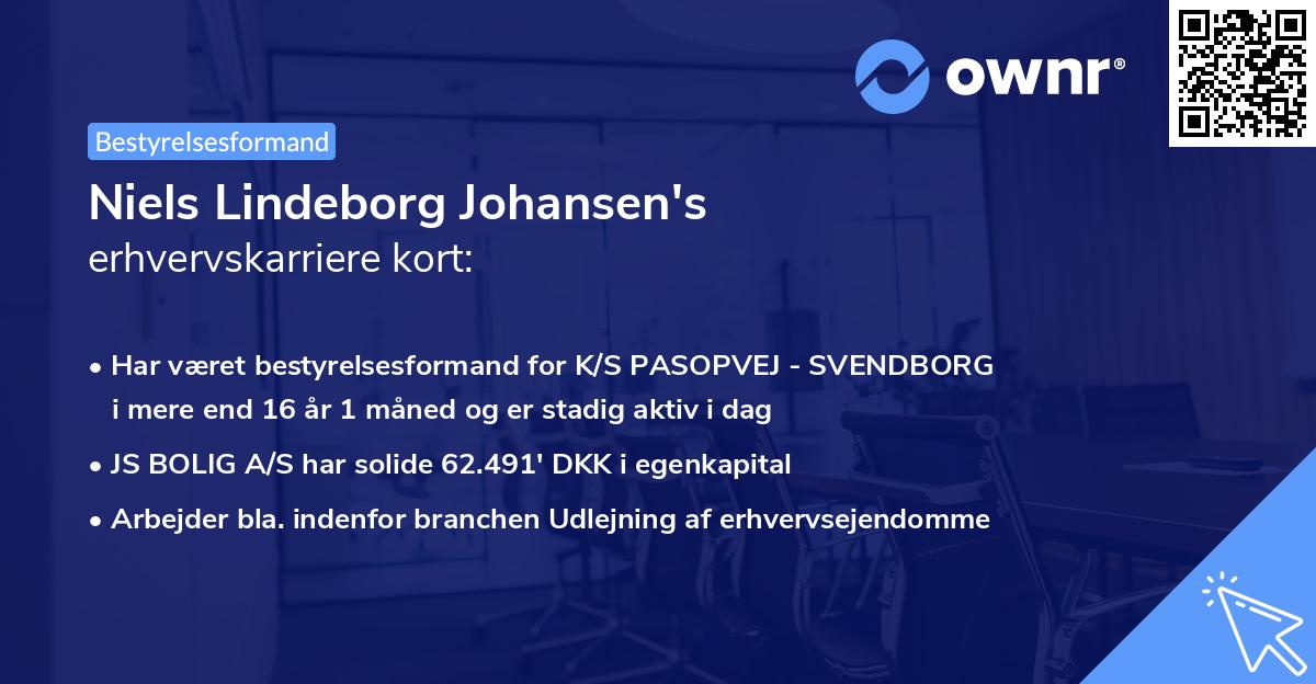 Niels Lindeborg Johansen's erhvervskarriere kort