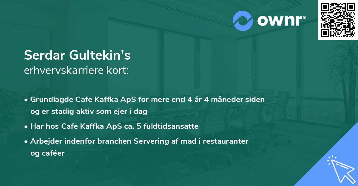 Serdar Gultekin's erhvervskarriere kort