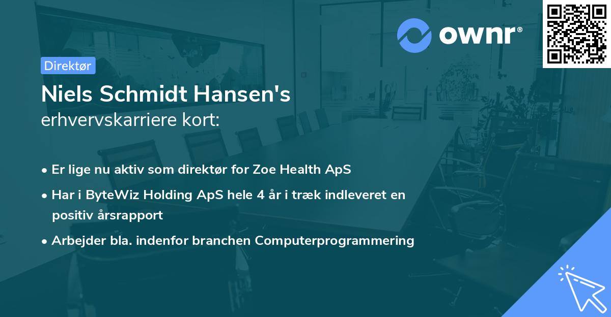 Niels Schmidt Hansen's erhvervskarriere kort