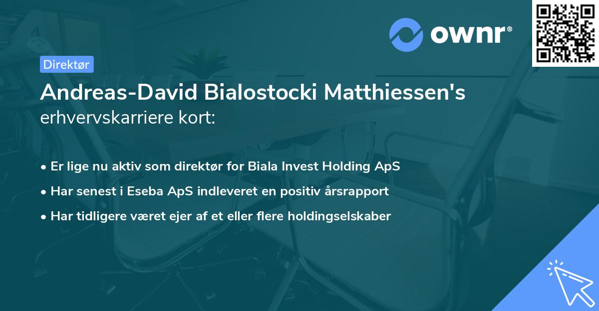 Andreas-David Bialostocki Matthiessen's erhvervskarriere kort