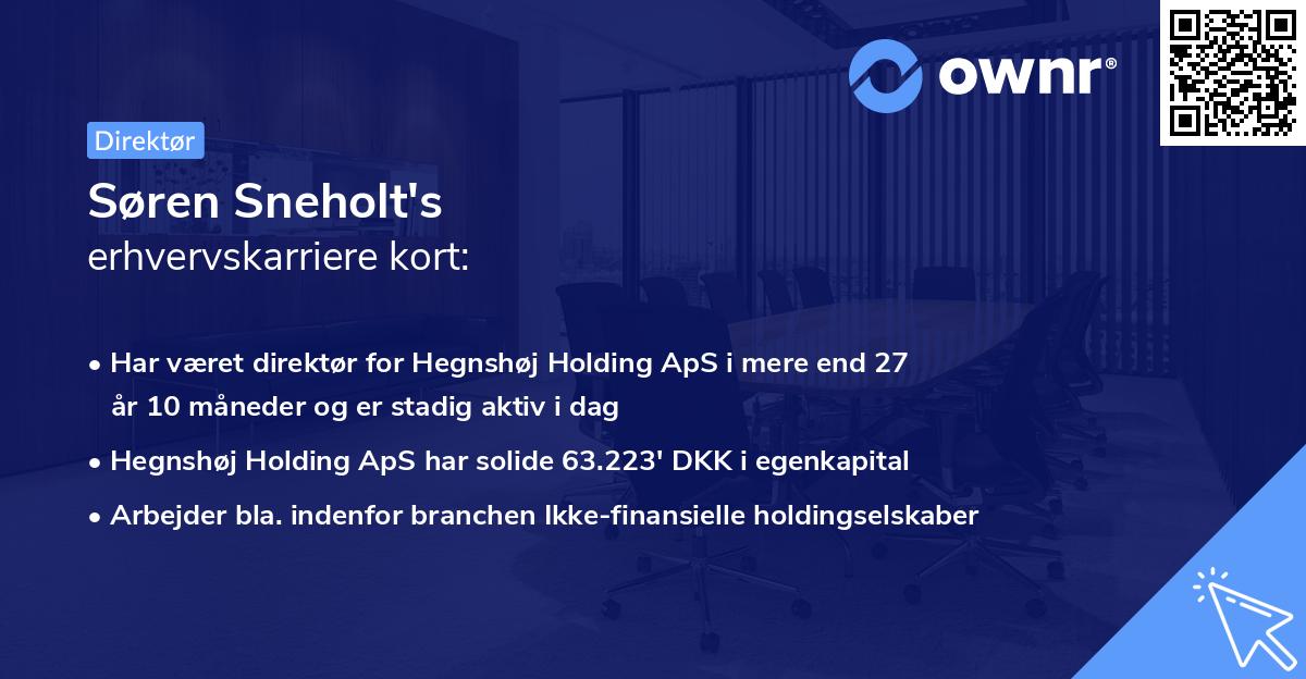 Søren Sneholt's erhvervskarriere kort