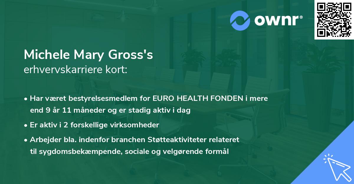 Michele Mary Gross's erhvervskarriere kort