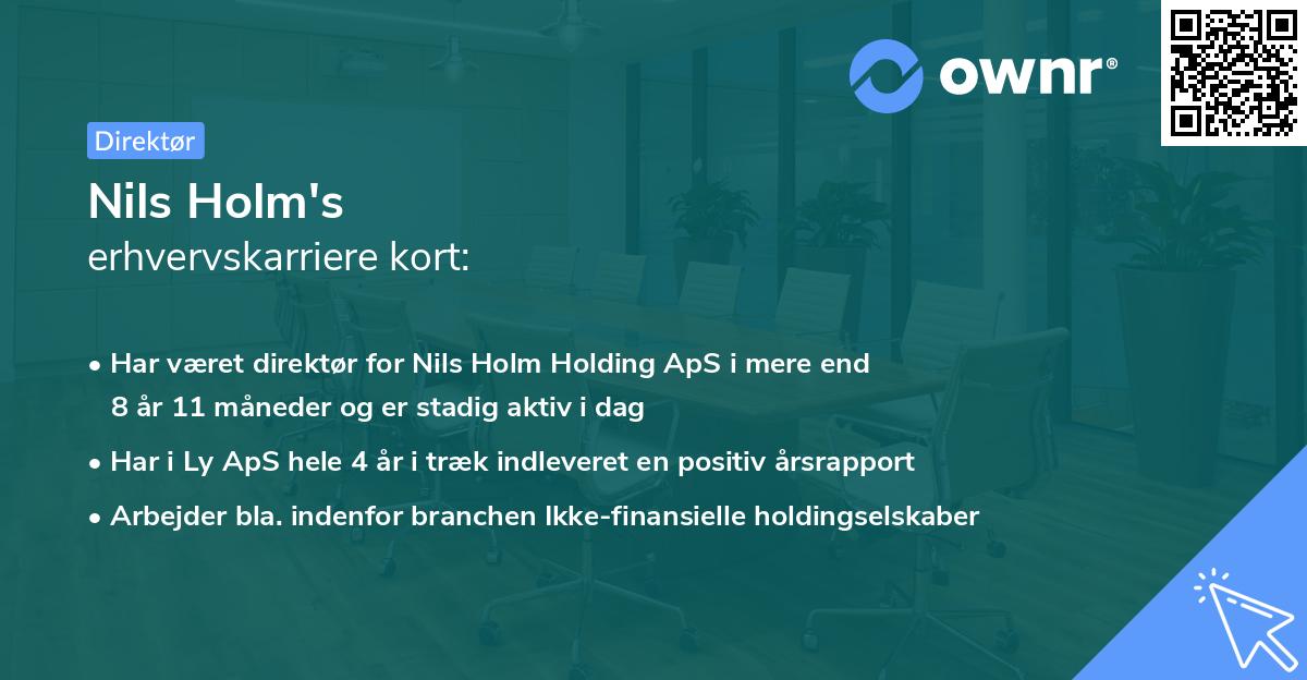 Nils Holm's erhvervskarriere kort