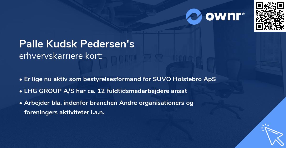 Palle Kudsk Pedersen's erhvervskarriere kort