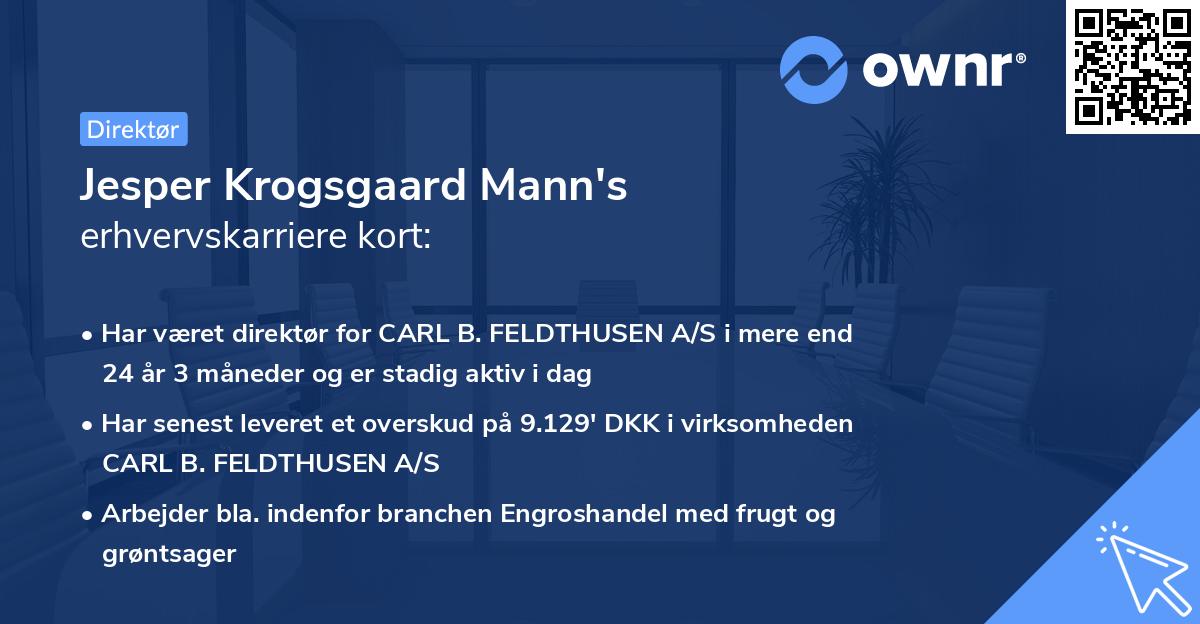 Jesper Krogsgaard Mann's erhvervskarriere kort