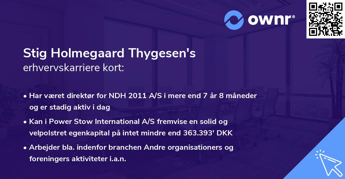 Stig Holmegaard Thygesen's erhvervskarriere kort