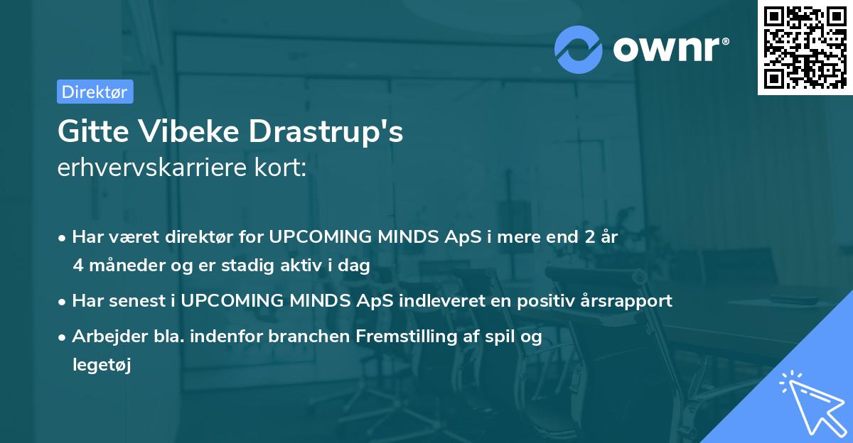 Gitte Vibeke Drastrup's erhvervskarriere kort