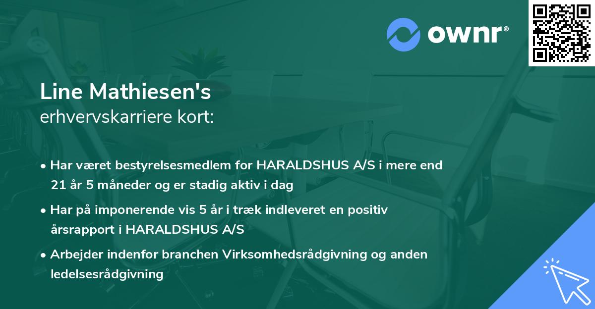 Line Mathiesen's erhvervskarriere kort