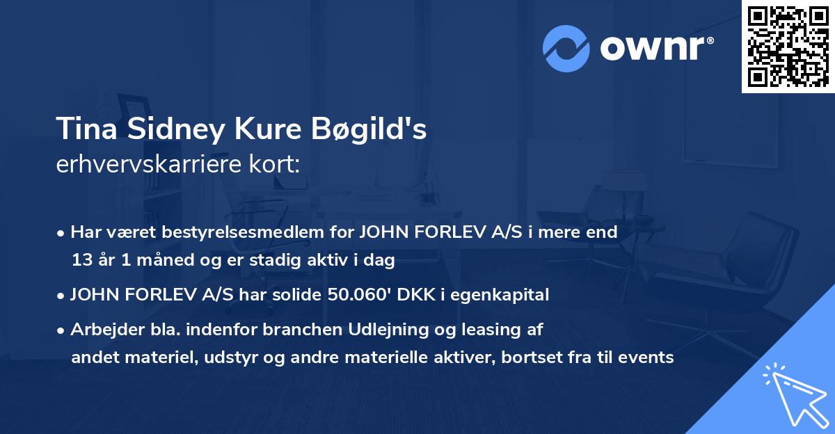 Tina Sidney Kure Bøgild's erhvervskarriere kort