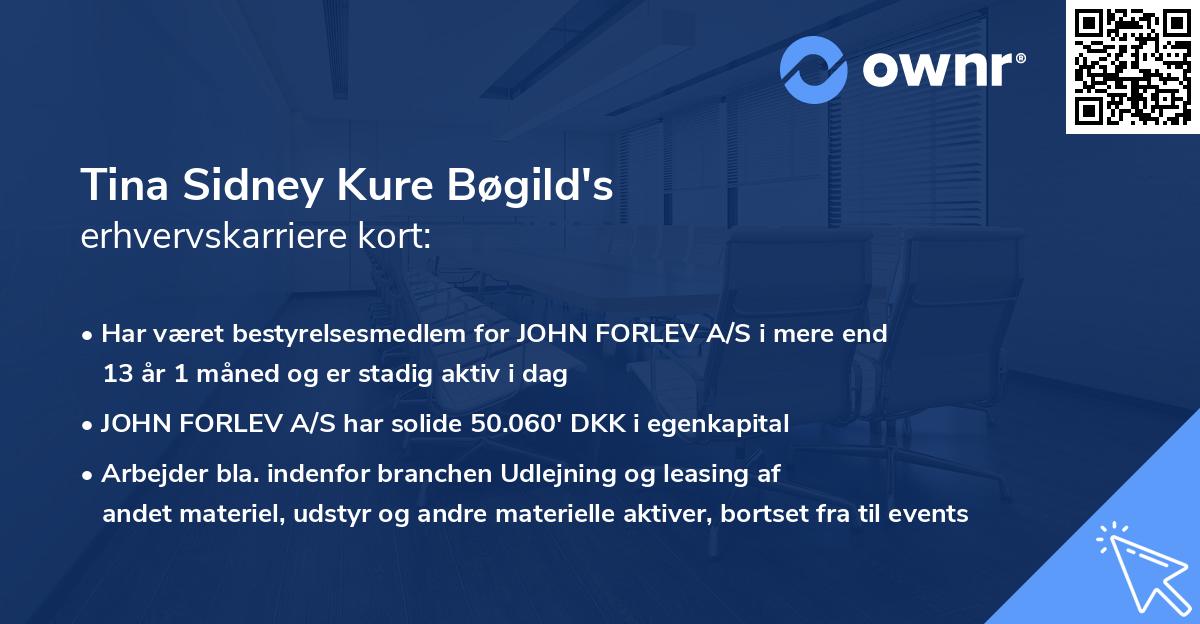 Tina Sidney Kure Bøgild's erhvervskarriere kort