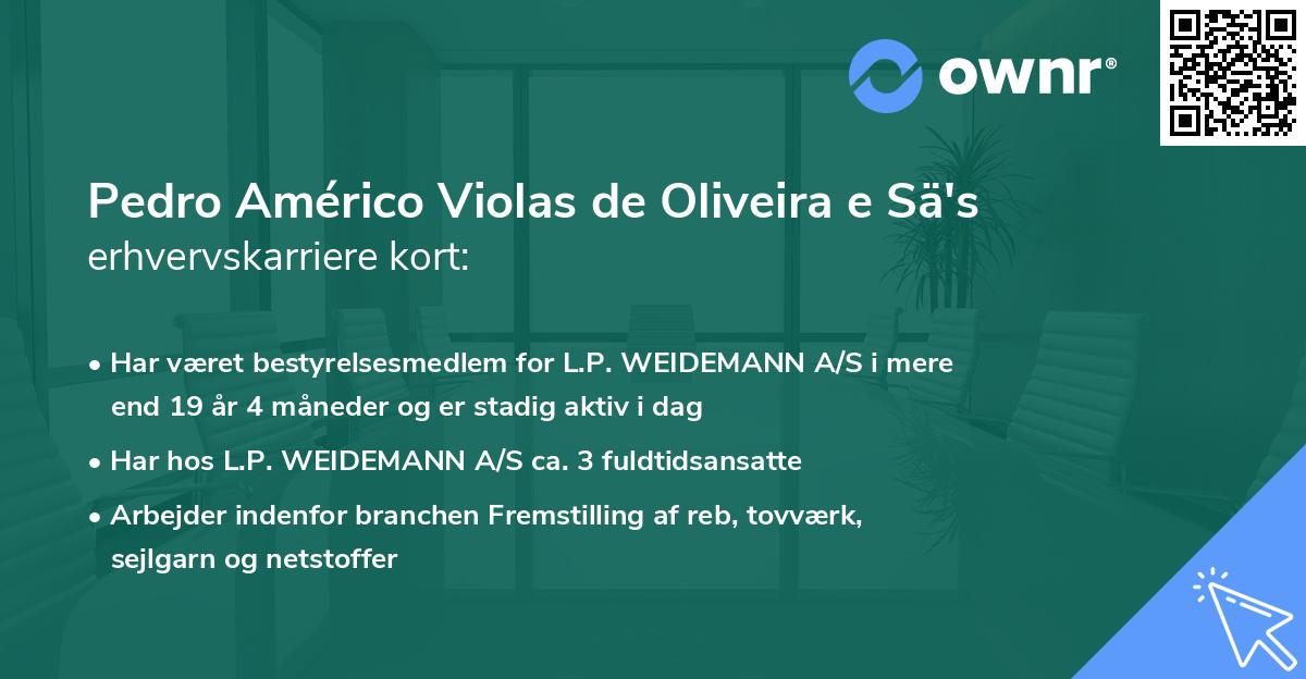 Pedro Américo Violas de Oliveira e Sä's erhvervskarriere kort