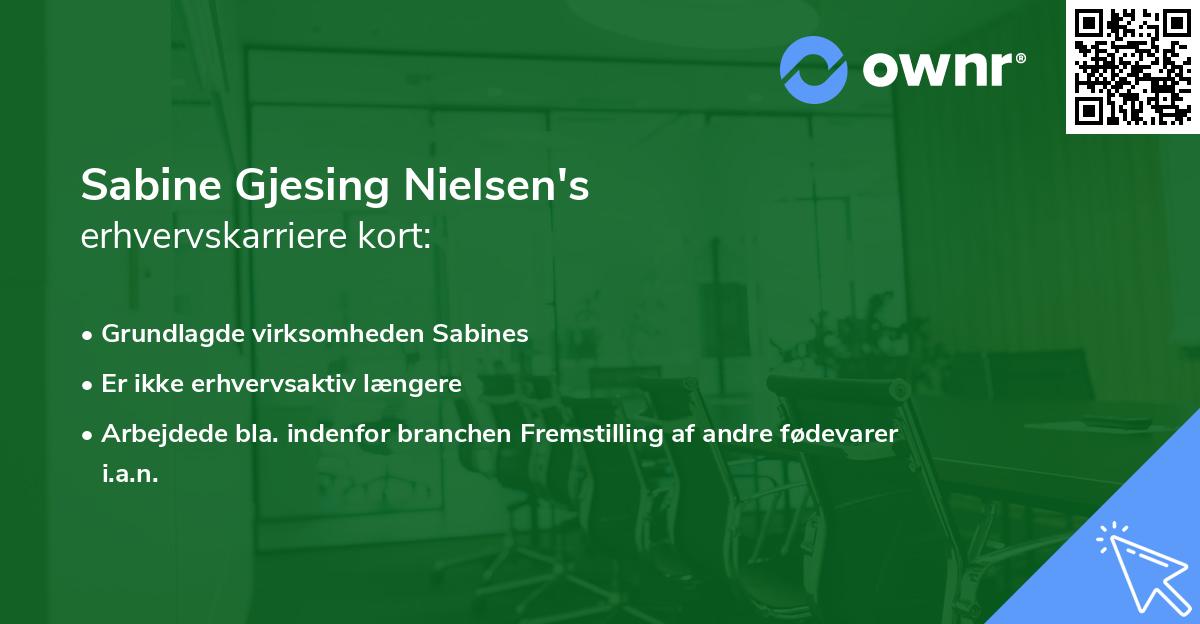 Sabine Gjesing Nielsen's erhvervskarriere kort