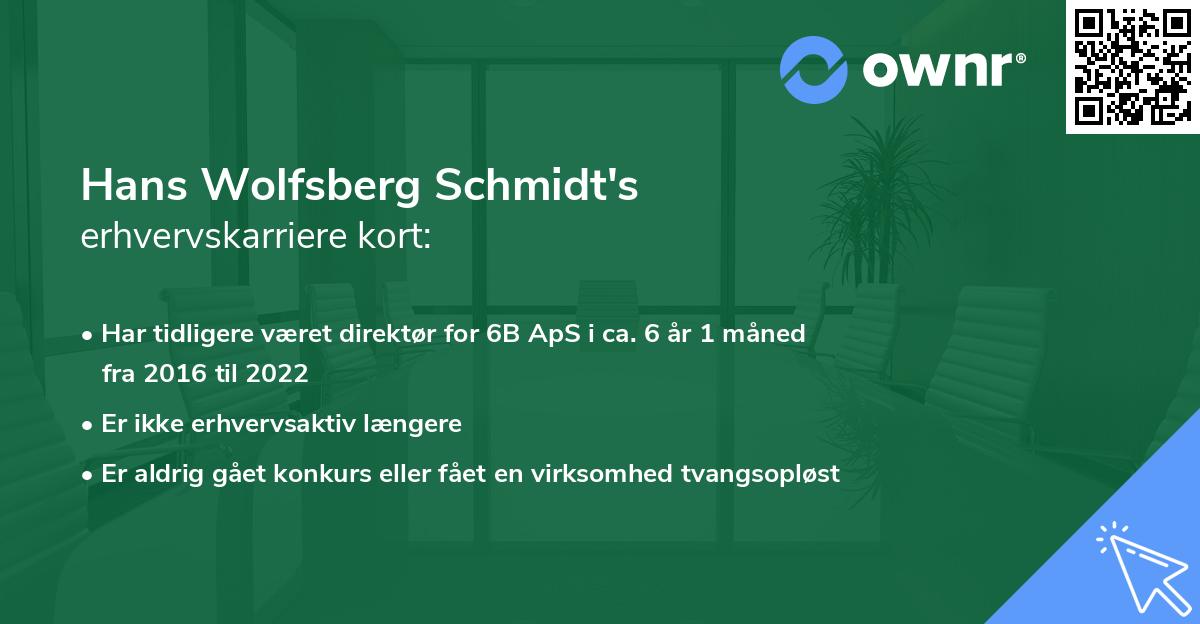 Hans Wolfsberg Schmidt's erhvervskarriere kort