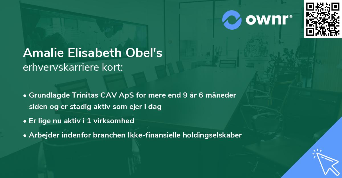 Amalie Elisabeth Obel's erhvervskarriere kort