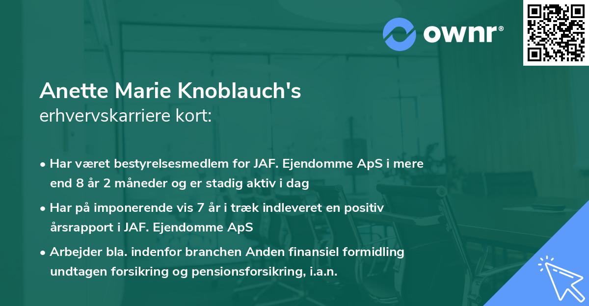 Anette Marie Knoblauch's erhvervskarriere kort