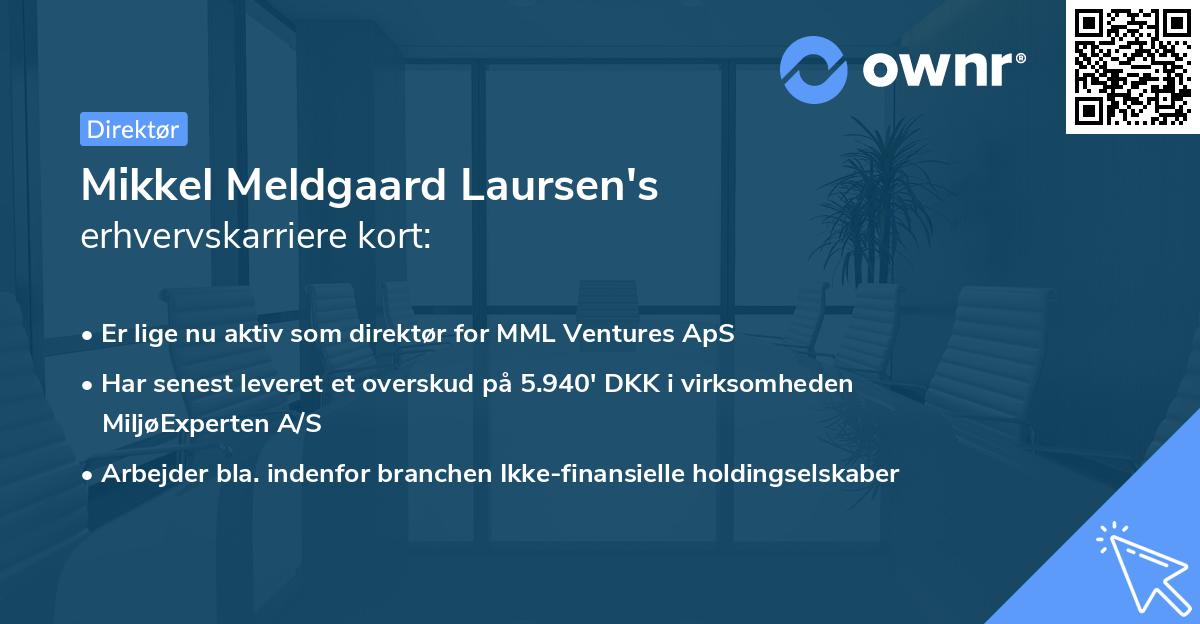 Mikkel Meldgaard Laursen's erhvervskarriere kort