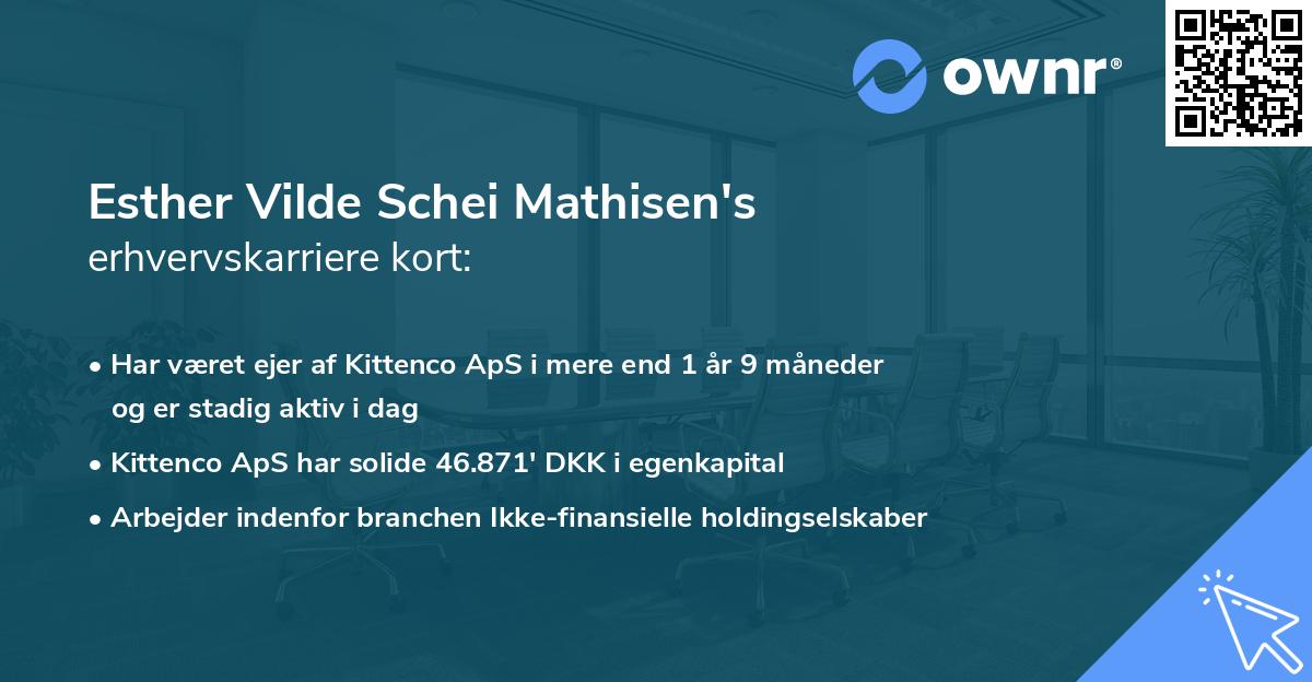 Esther Vilde Schei Mathisen's erhvervskarriere kort