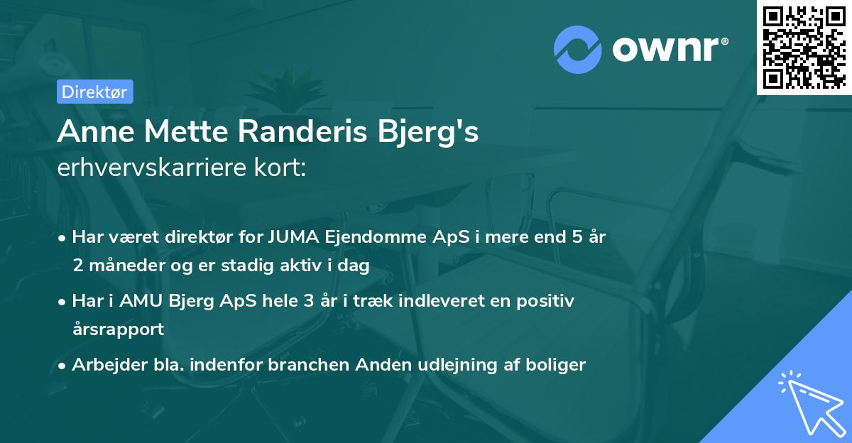 Anne Mette Randeris Bjerg's erhvervskarriere kort