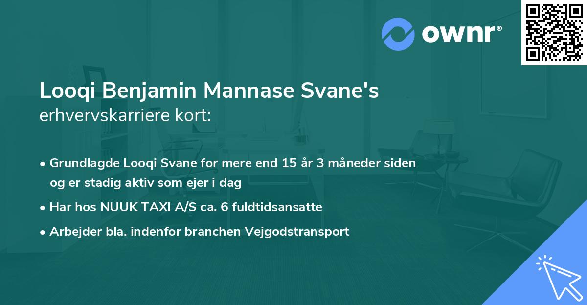 Looqi Benjamin Mannase Svane's erhvervskarriere kort