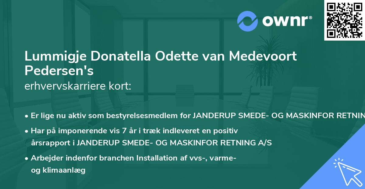 Lummigje Donatella Odette van Medevoort Pedersen's erhvervskarriere kort