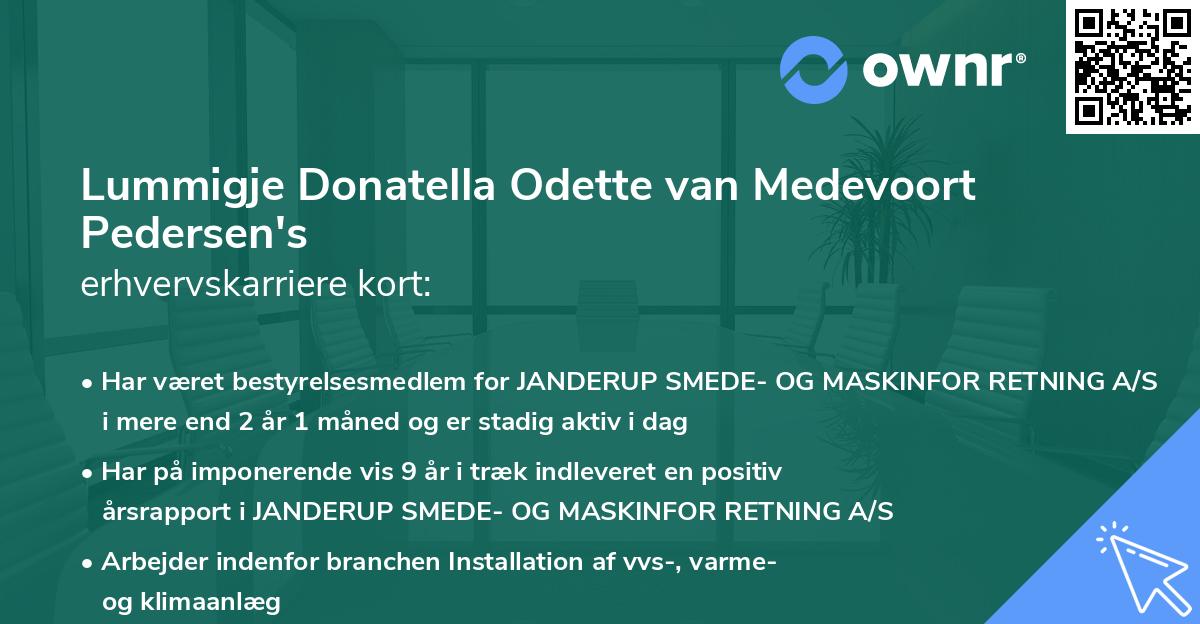 Lummigje Donatella Odette van Medevoort Pedersen's erhvervskarriere kort
