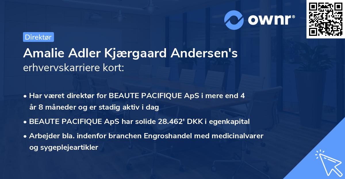 Amalie Adler Kjærgaard Andersen's erhvervskarriere kort