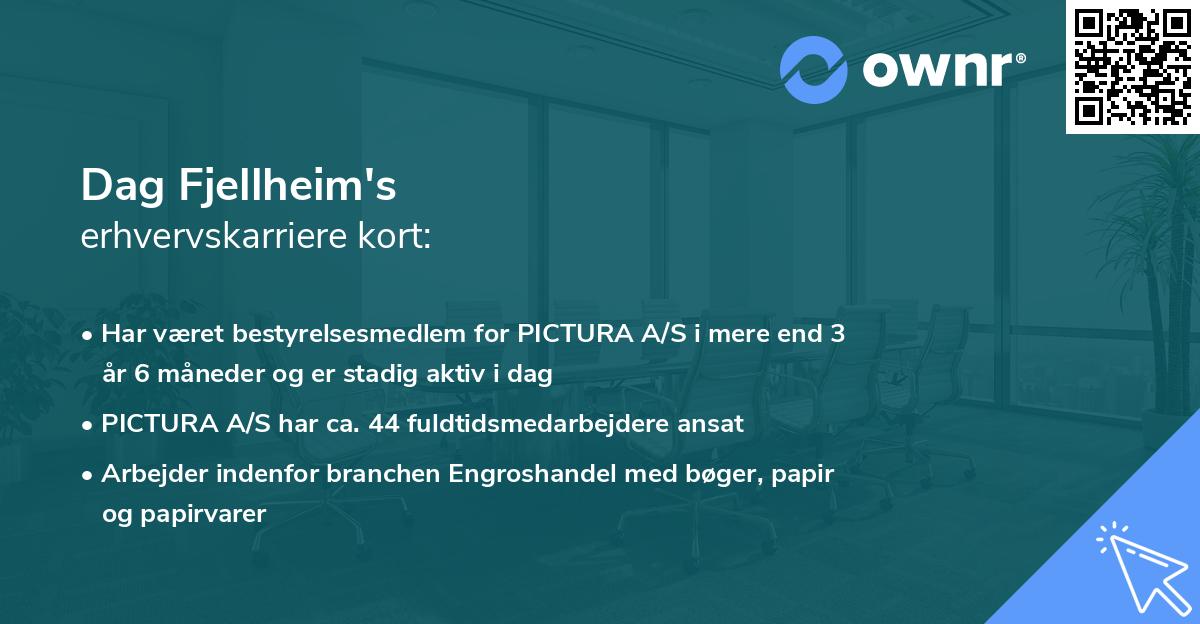 Dag Fjellheim's erhvervskarriere kort