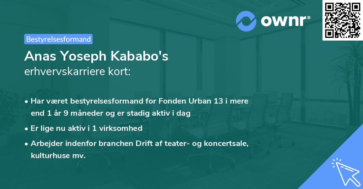 Anas Yoseph Kababo's erhvervskarriere kort