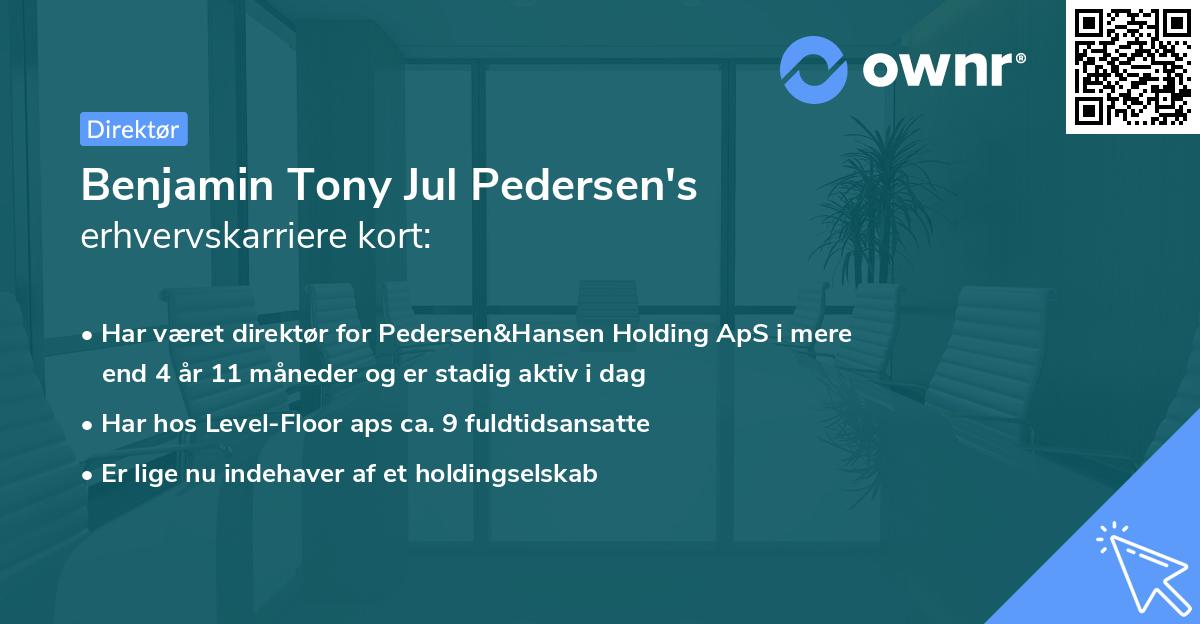 Benjamin Tony Jul Pedersen's erhvervskarriere kort