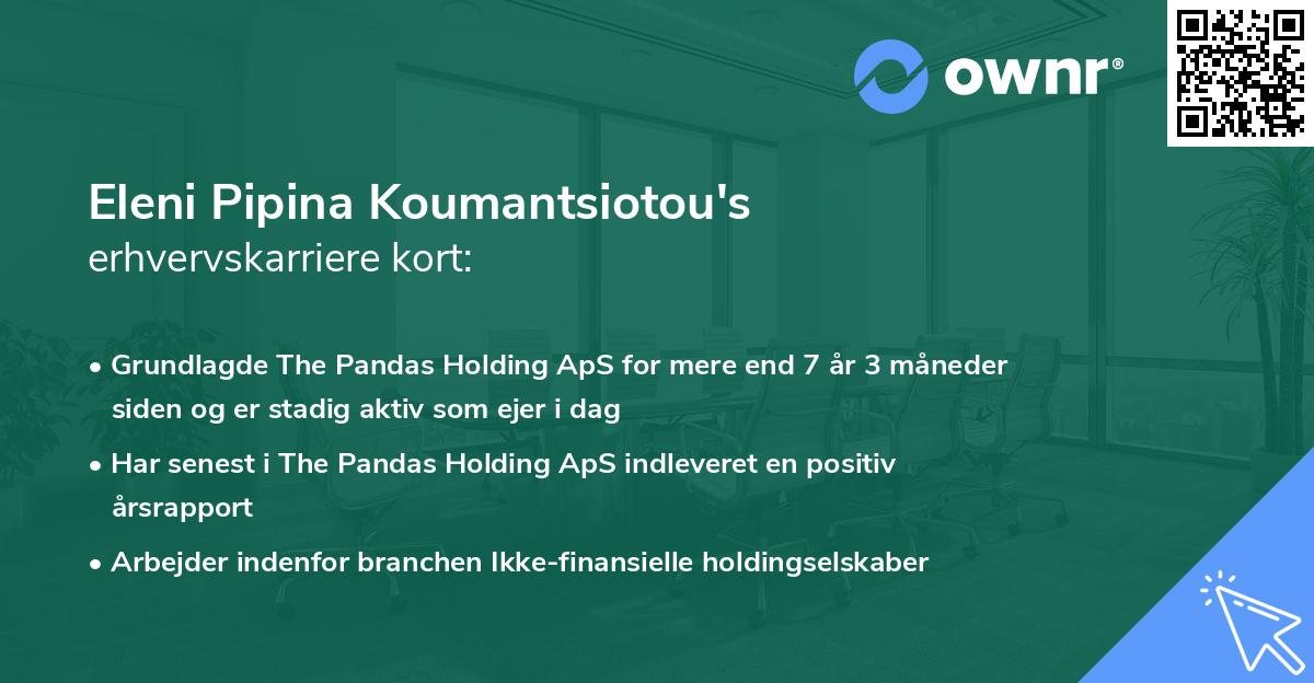Eleni Pipina Koumantsiotou's erhvervskarriere kort