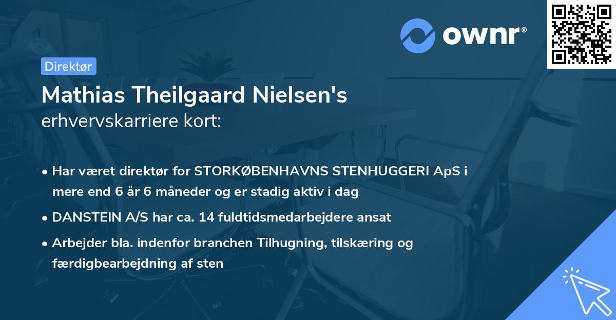 Mathias Theilgaard Nielsen's erhvervskarriere kort