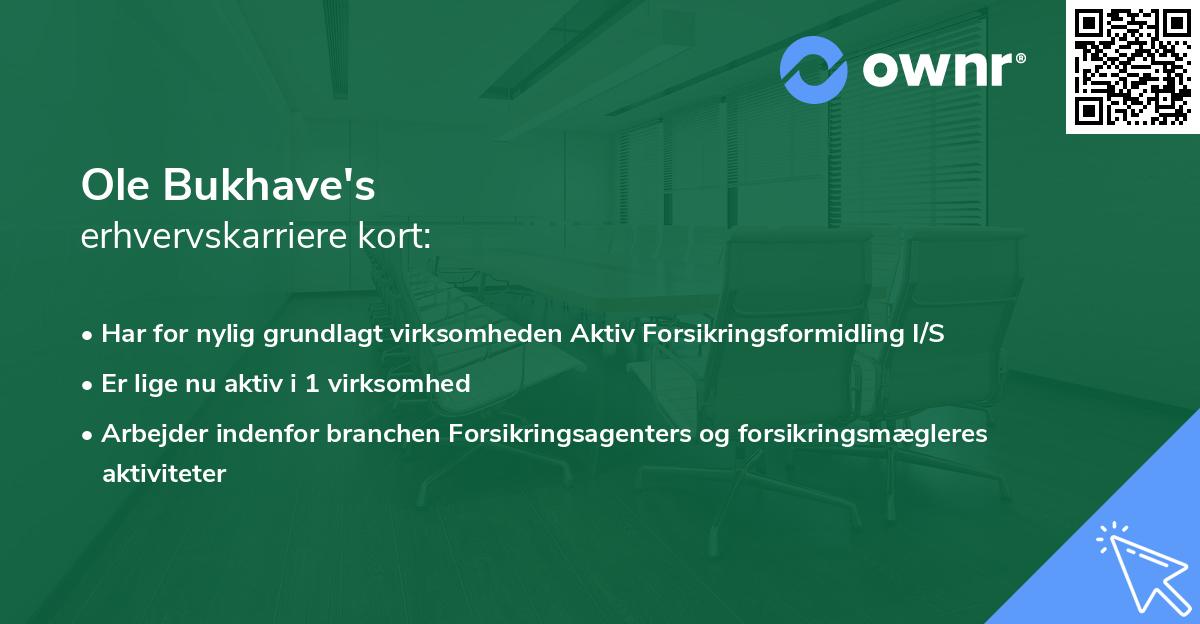Ole Bukhave's erhvervskarriere kort