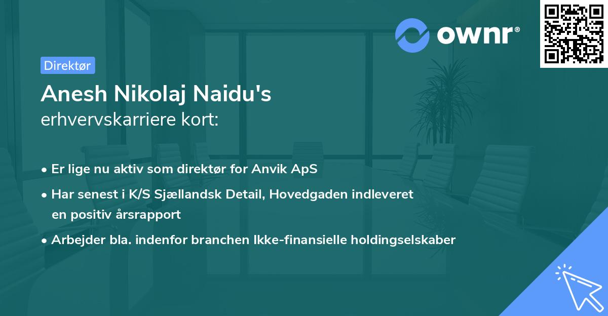 Anesh Nikolaj Naidu's erhvervskarriere kort