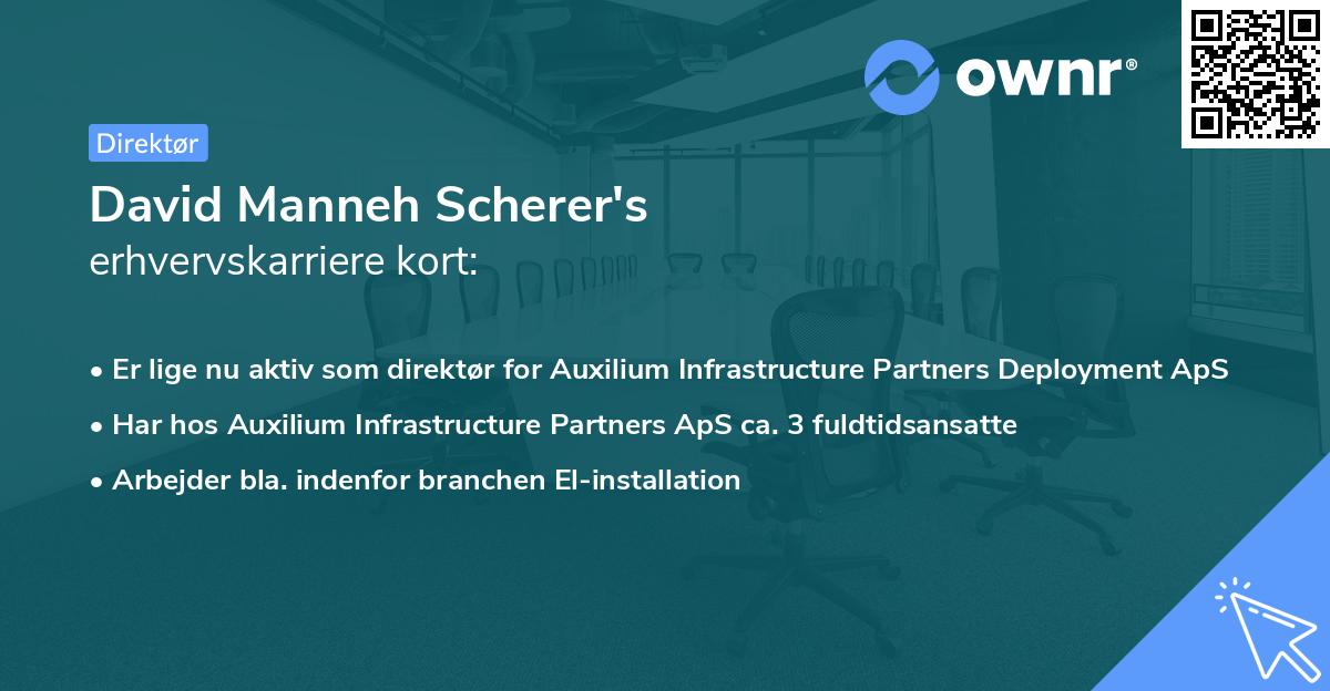David Manneh Scherer's erhvervskarriere kort