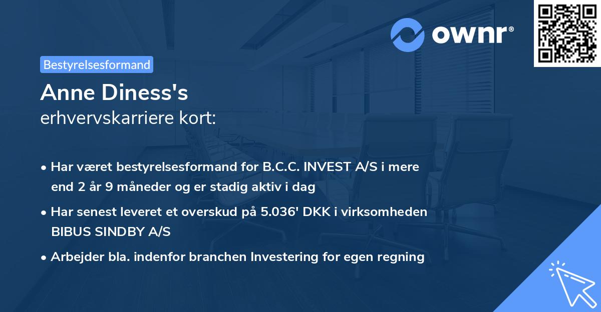 Anne Diness's erhvervskarriere kort