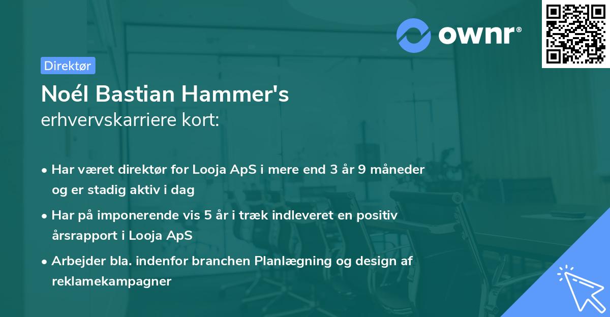 Noél Bastian Hammer's erhvervskarriere kort