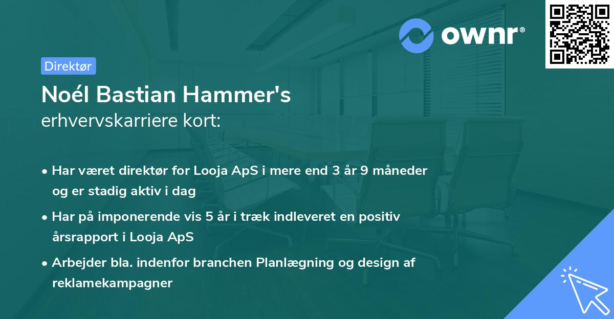Noél Bastian Hammer's erhvervskarriere kort