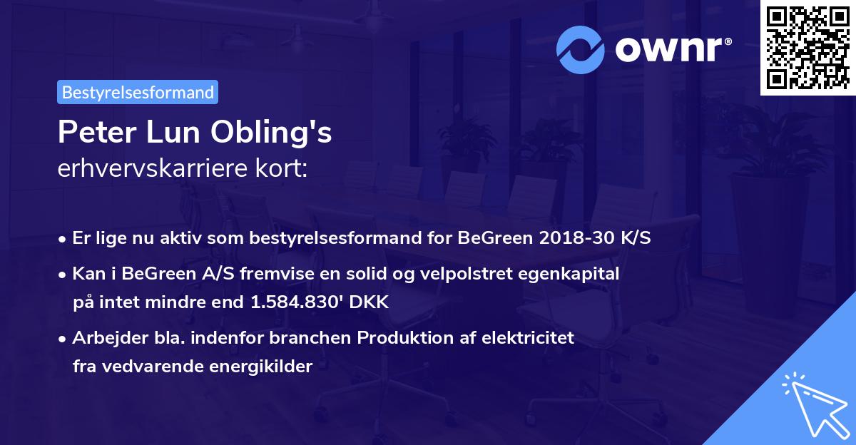 Peter Lun Obling's erhvervskarriere kort