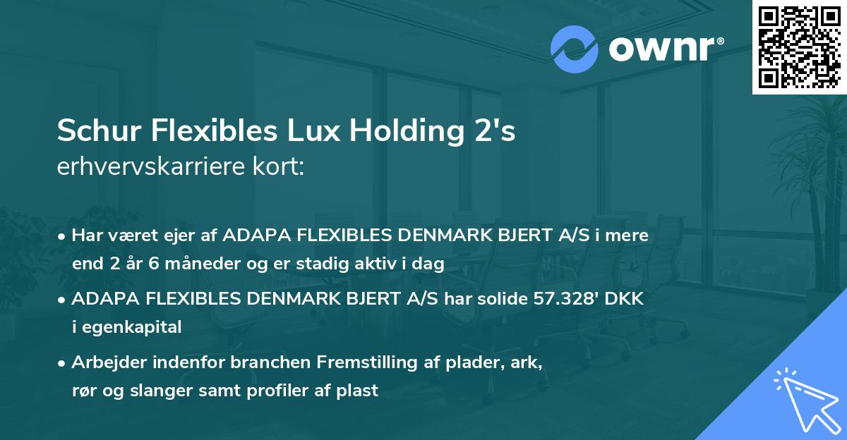 Schur Flexibles Lux Holding 2's erhvervskarriere kort