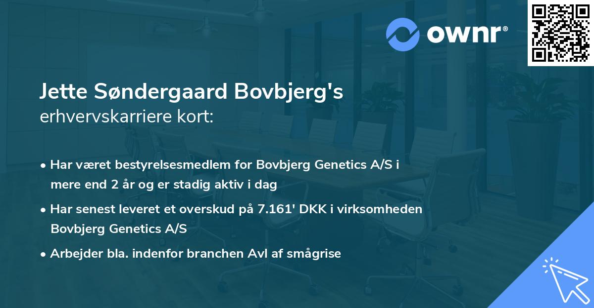 Jette Søndergaard Bovbjerg's erhvervskarriere kort