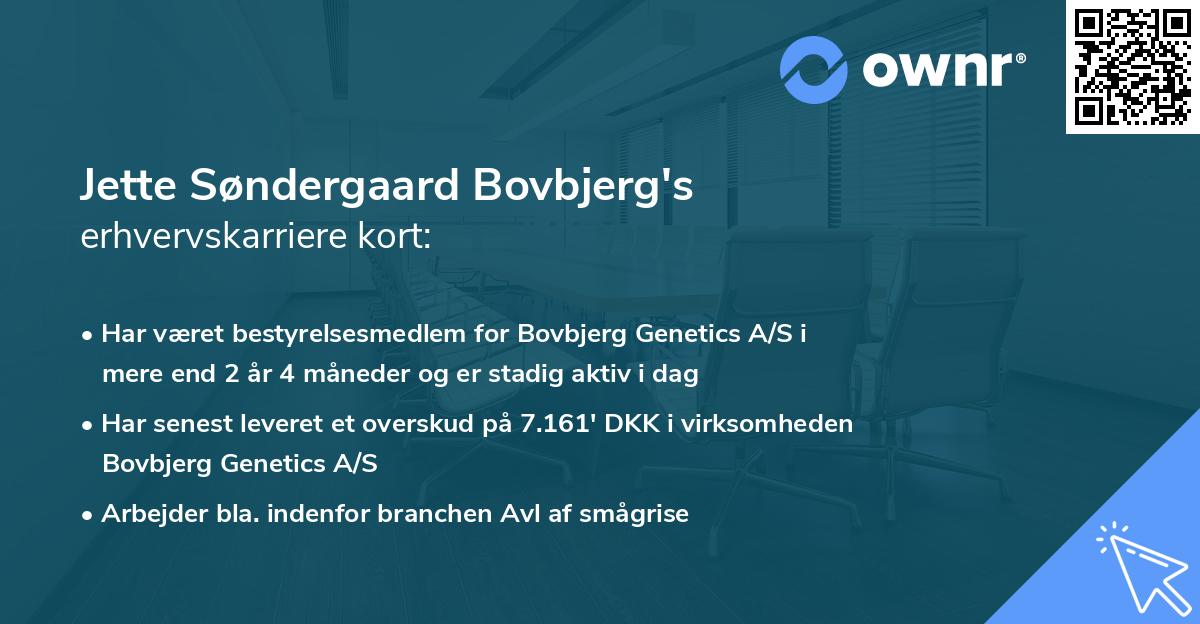 Jette Søndergaard Bovbjerg's erhvervskarriere kort