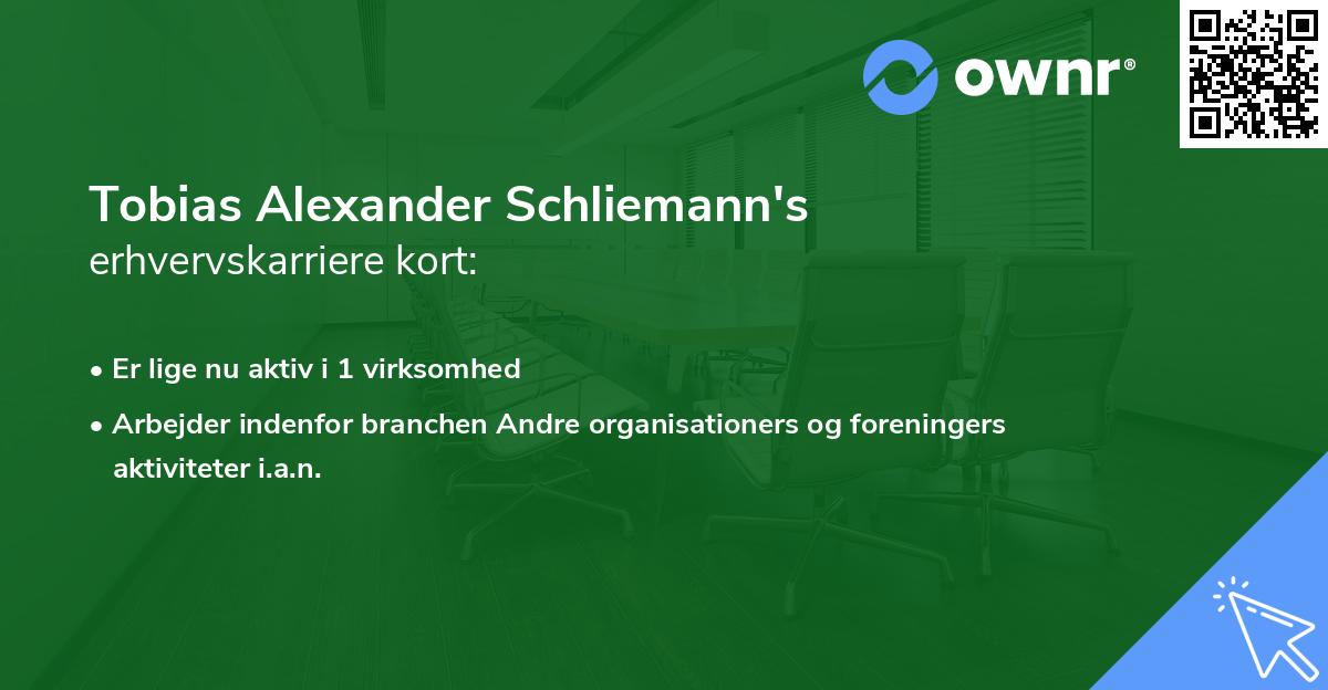 Tobias Alexander Schliemann's erhvervskarriere kort