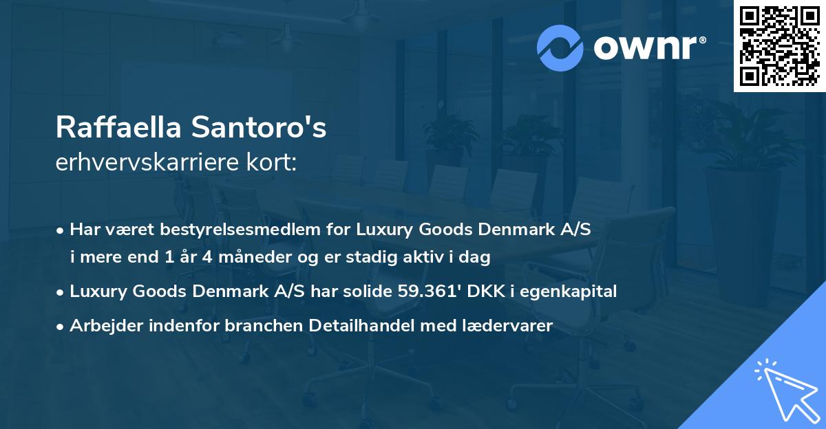 Raffaella Santoro's erhvervskarriere kort