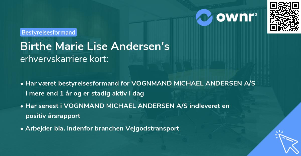 Birthe Marie Lise Andersen's erhvervskarriere kort