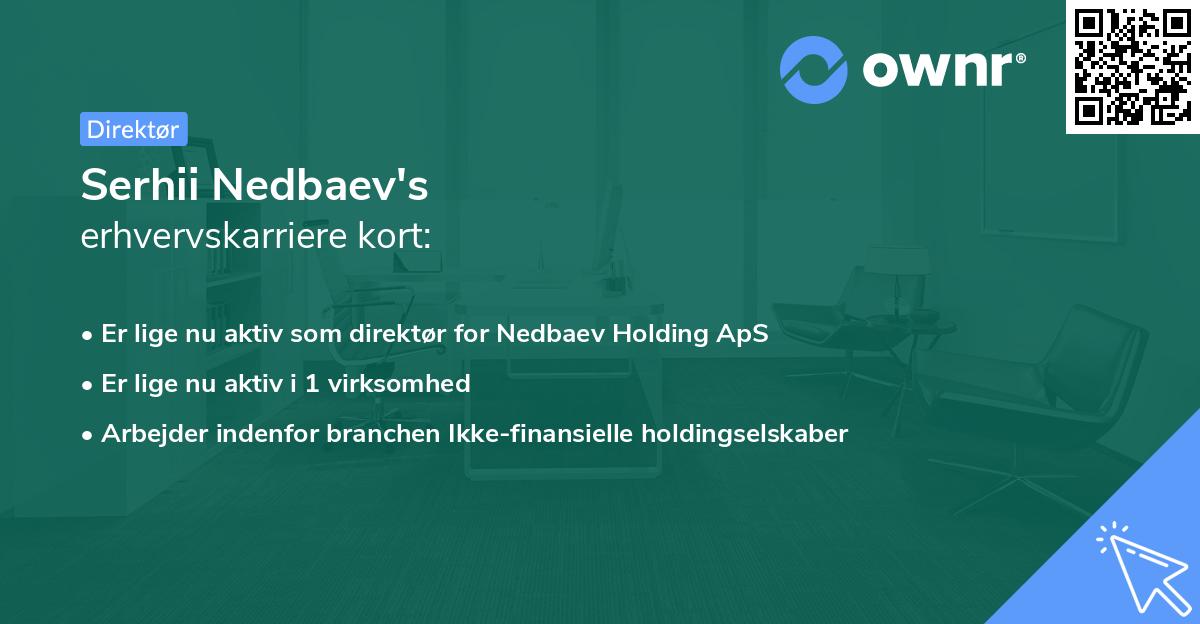 Serhii Nedbaev's erhvervskarriere kort