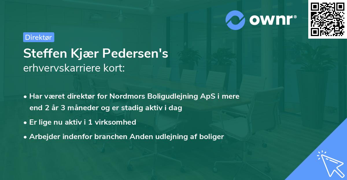 Steffen Kjær Pedersen's erhvervskarriere kort