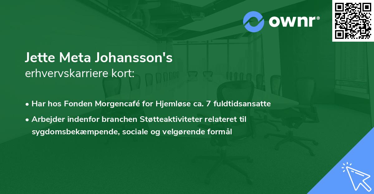 Jette Meta Johansson's erhvervskarriere kort