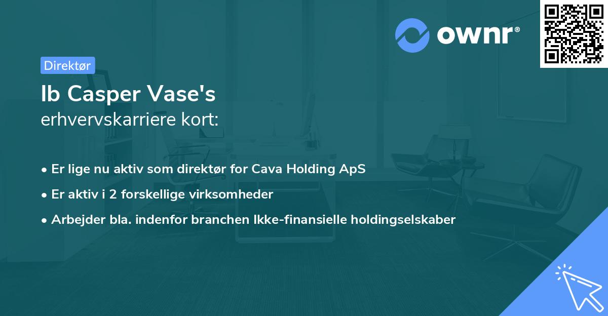 Ib Casper Vase's erhvervskarriere kort