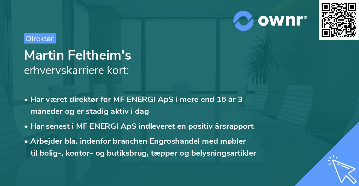 Martin Feltheim's erhvervskarriere kort